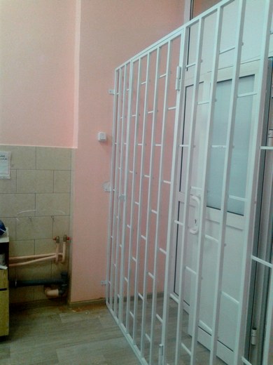 Решетка металлическая с дверью из профильной трубы и квадрата рисунок "Березка" ул. Семашко